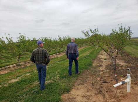 Texas Farm Patch 
