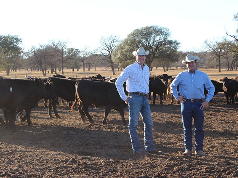 Dean & Peeler Premium Angus 